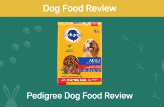 Pedigree Dog Food Review in 2022: Recalls and Pros & Cons