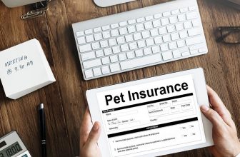 How Much Does Pet Insurance Cost in Australia? (2022 Update)