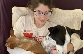 Puppy Love At First Sight… Or Not? 🐾 Little Dog Tips