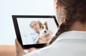Pet Telehealth: What It Is & How It Works
