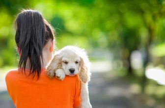 Finding The Perfect Furry Family Member